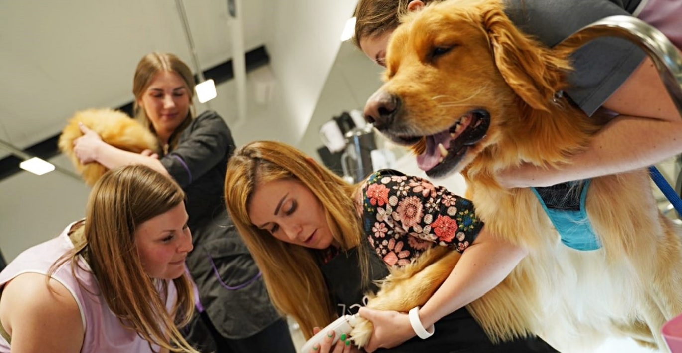 Gyvūnų priežiūros specialistė rodo studentėms, kaip taisyklingai atlikti šuniui nagų kirpimo procedūrą