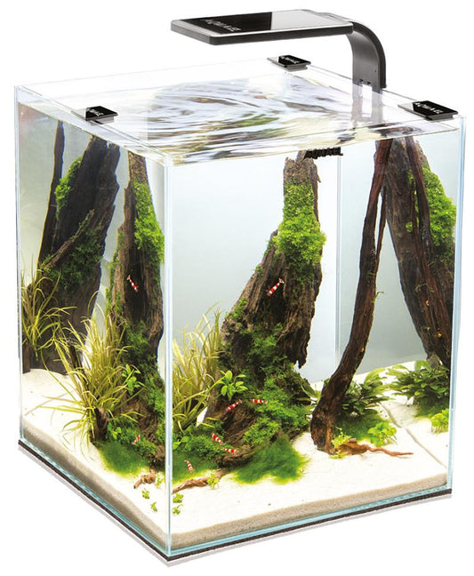 Akvariumas krevetėms Shrimp Set Smart su įranga