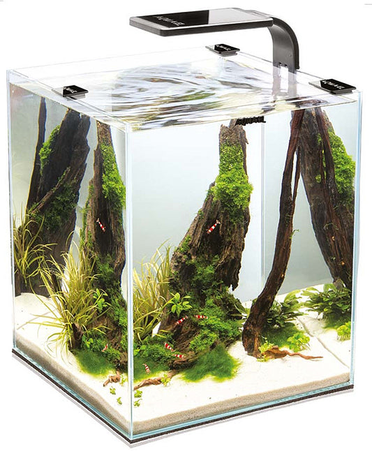 Akvariumas krevetėms Shrimp Set Smart su įranga