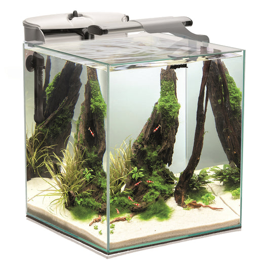 Akvariumas Shrimp Set DUO