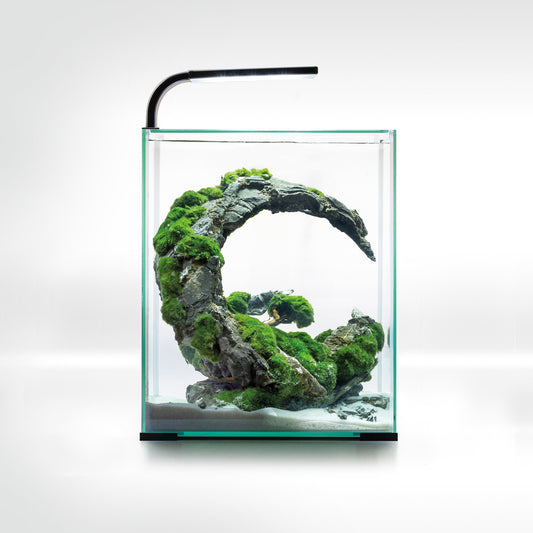 Akvariumas krevetėms Shrimp Set Smart D&N