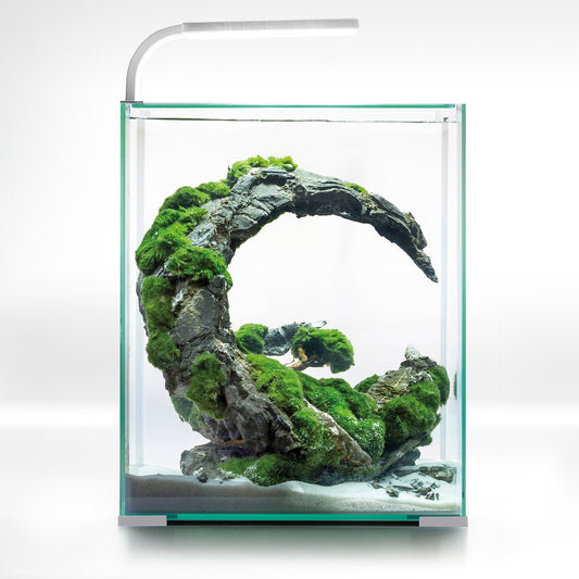 Akvariumas krevetėms Shrimp Set Smart D&N