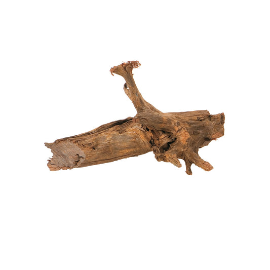 Akvariumų dekoracija