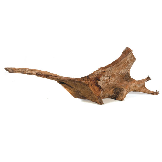 Akvariumų dekoracija