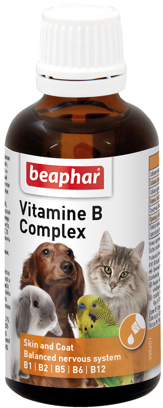 Šunų ir kačių vitamino B kompleksas