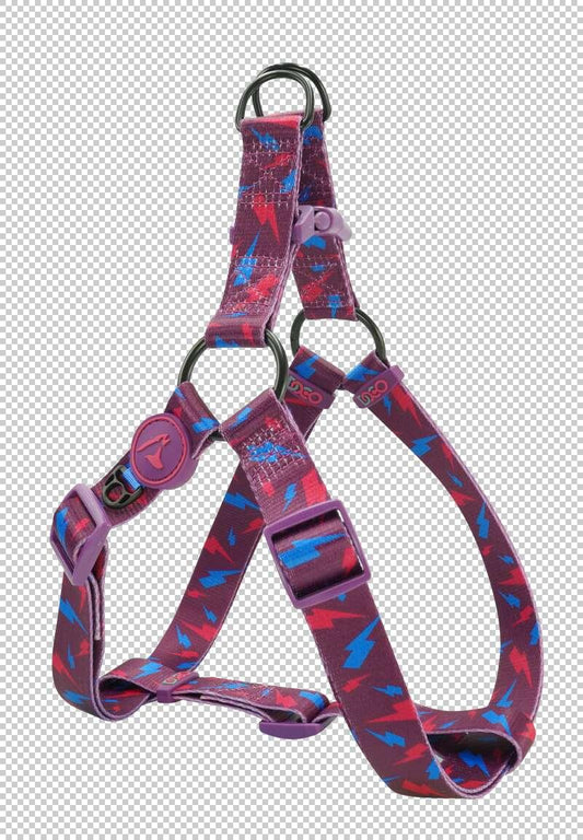 Šunų petnešos Loco