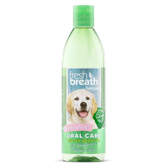 Fresh Breath skystis dantų priežiūrai, jauniems šunims, 473ml