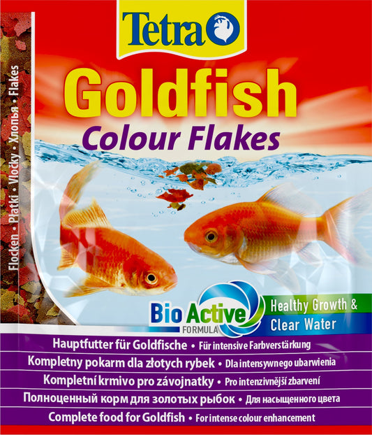 Tetra Goldfish Colour
