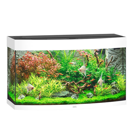 Juwel LED Vision 180 Akvariumas lenktas