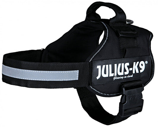 Trixie Petnešos Julius-K9