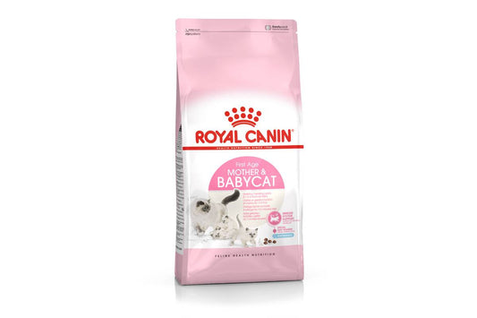 Royal Canin katingų ir laktuojančių kačių sausas pašaras