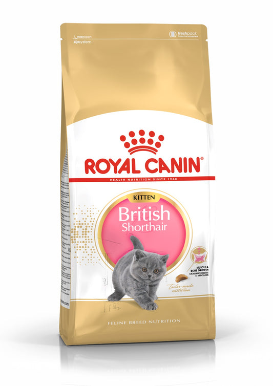 Royal Canin Britų trumpaplaukių veislės kačiukų sausas pašaras
