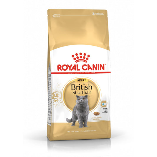 Royal Canin Britų trumpaplaukių veislės suaugusių kačių sausas pašaras