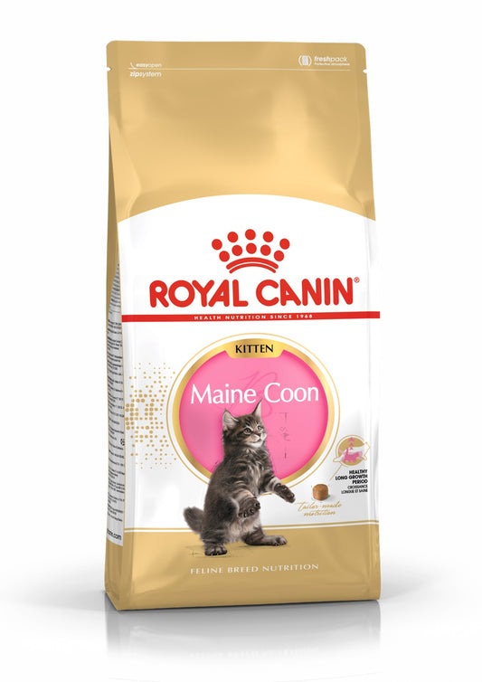 Royal Canin Meino meškėnų veislės kačiukų sausas pašaras