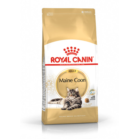 Royal Canin Meino meškėnų veislės suaugusių kačių sausas pašaras