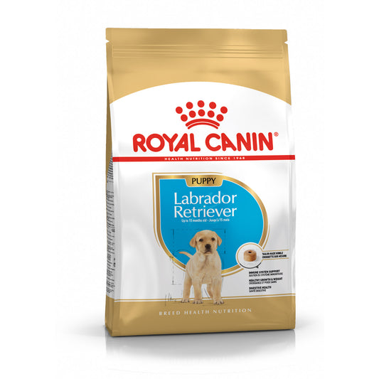 Royal Canin Labradoro retriverių veislės jaunų šunų sausas pašaras
