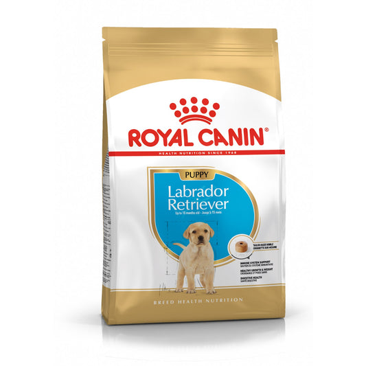 Royal Canin Labradoro retriverių veislės jaunų šunų sausas pašaras