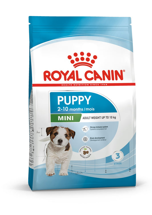 Royal Canin mažų veislių jaunų šunų sausas pašaras