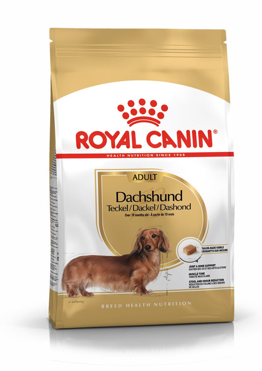 Royal Canin taksų veislės suaugusių šunų sausas pašaras