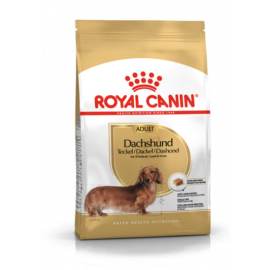 Royal Canin taksų veislės suaugusių šunų sausas pašaras