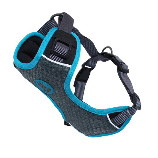 Doco šunų petnešos