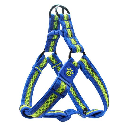 Doco Lunar reguliuojamos petnešos šunims