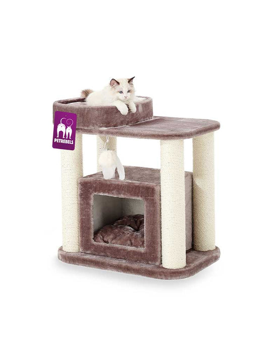 Petrebels Kačių draskyklė