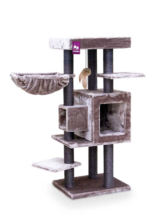 Petrebels Kačių draskyklė