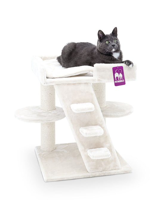 Petrebels Kačių draskyklė