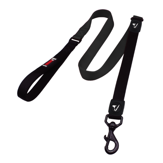 Doco BUNGEE nailoninis pavadėlis