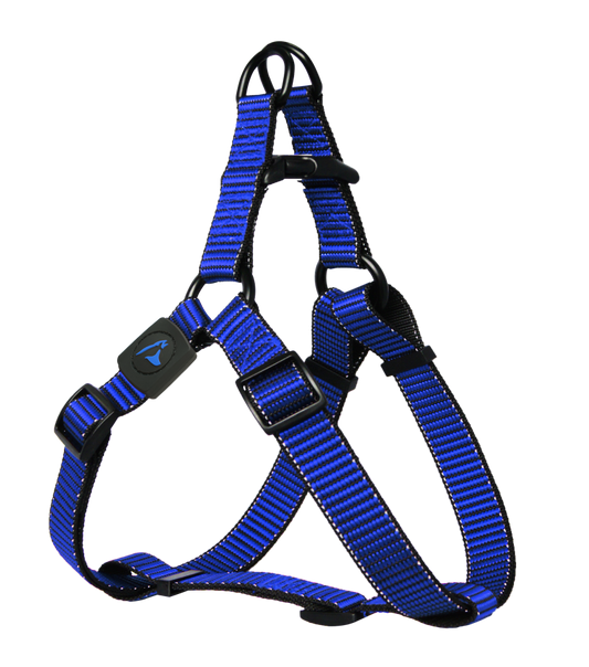 Doco Martini Bean šunų petnešos