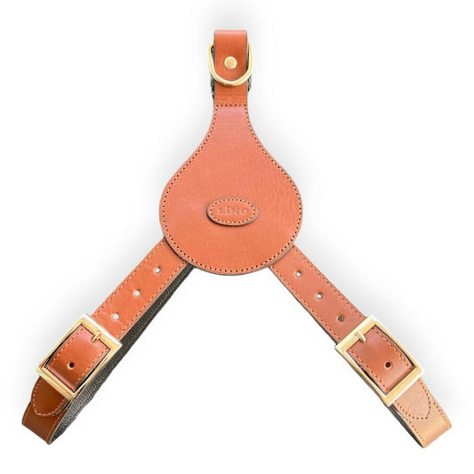 Lino šunų petnešos