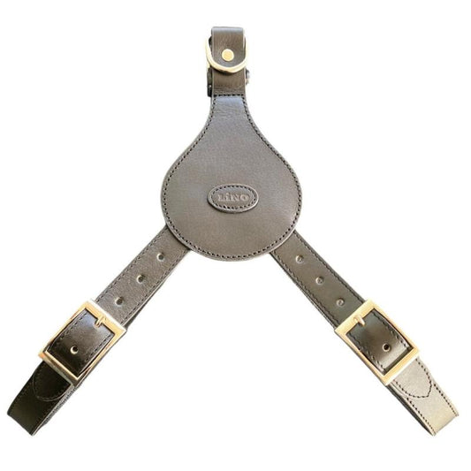 Lino šunų petnešos