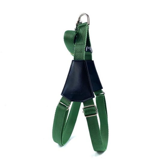 Lino šunų petnešos