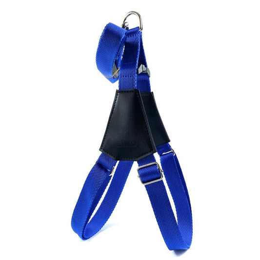 Lino šunų petnešos