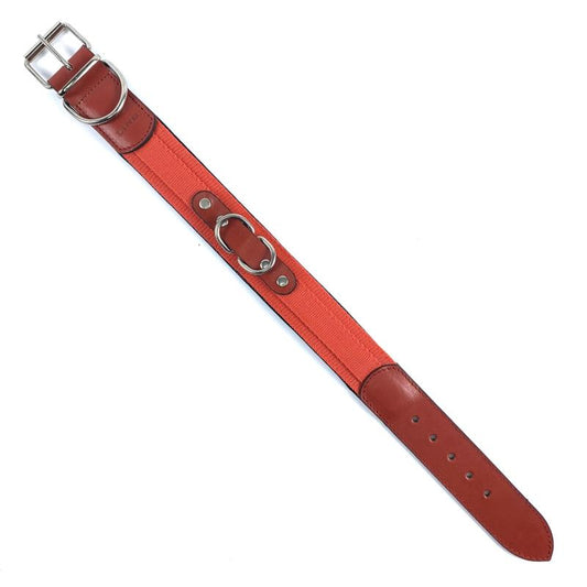 Lino šunų antkaklis