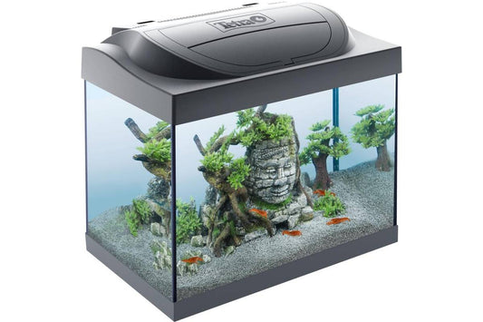 Tetra Starter Line LED Crayfish akvariumo rinkinys, 30 L