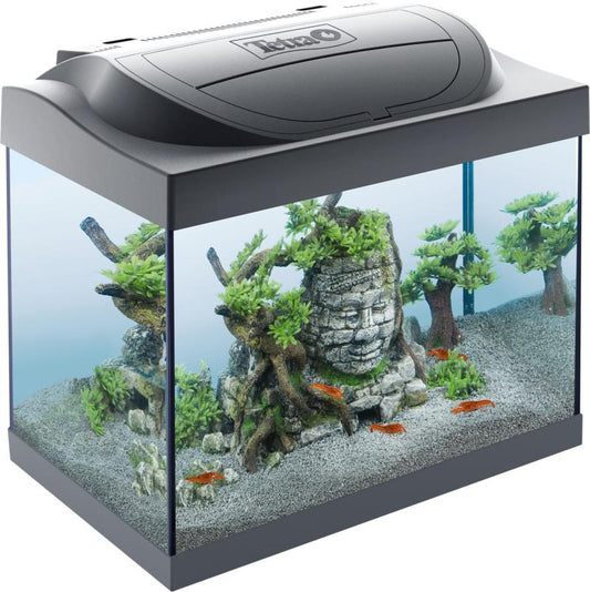Tetra Starter Line LED Crayfish akvariumo rinkinys, 30 L
