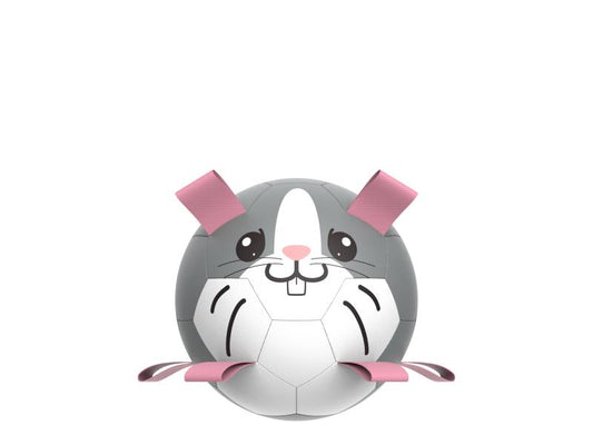 Šunų žaislas - pripučiamas kamuolys