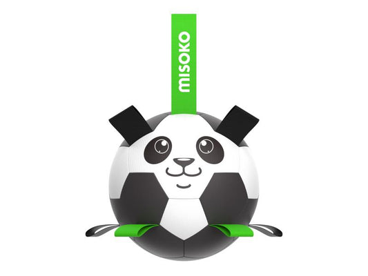 Šunų žaislas - pripučiamas kamuolys