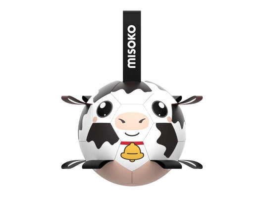 Šunų žaislas - pripučiamas kamuolys