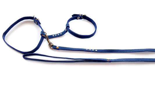 Veliūrinis komplektas katei su petnešomis