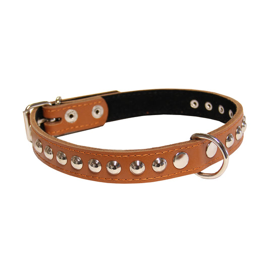 Šunų antkaklis su metaliniais papuošimais