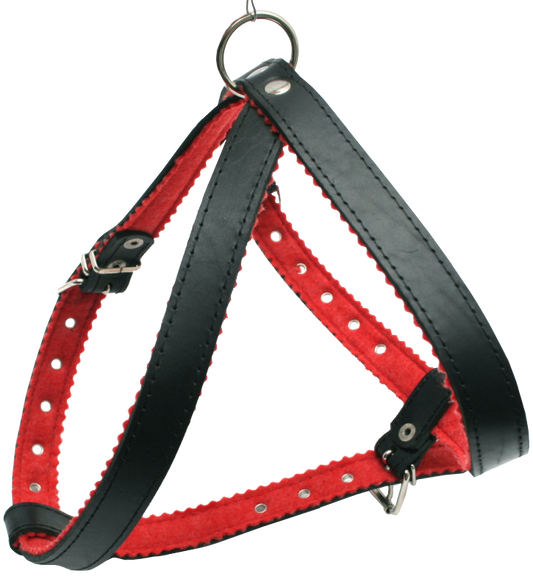 Odinės petnešos su filcu