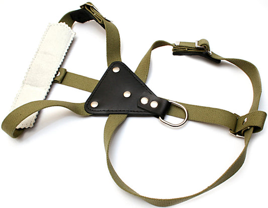 Brezentinės petnešos