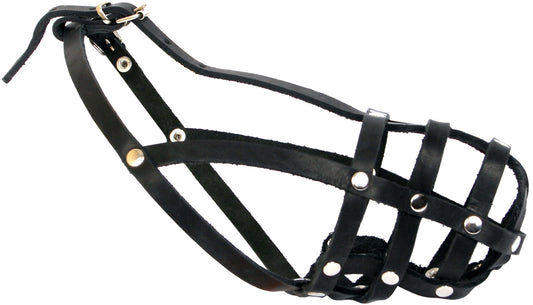 Kokerspanielių antsnukis