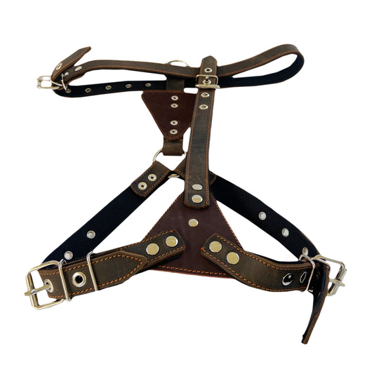 Odinės petnešos su kapronu