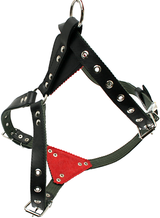 Odinės petnešos su kapronu