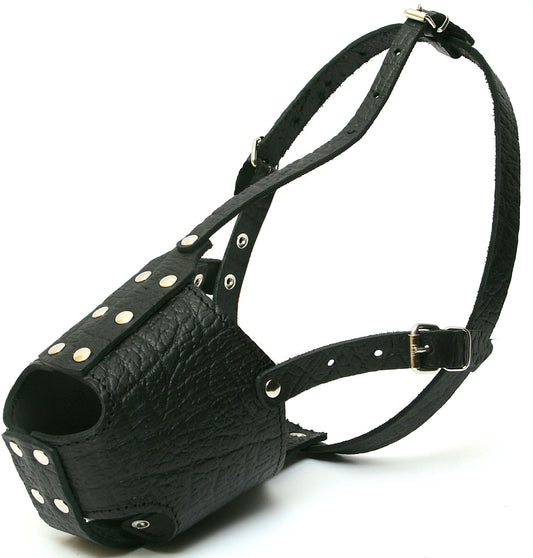 Stafordšyro terjero odinis antsnukis