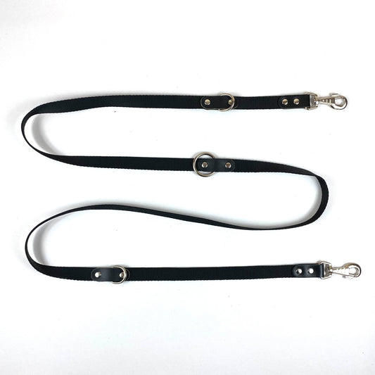 Mokomasis šunų pavadis